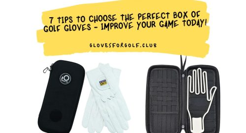 7 Tips to Choose the Perfect Box of Golf Gloves - Improve Your Game Today!